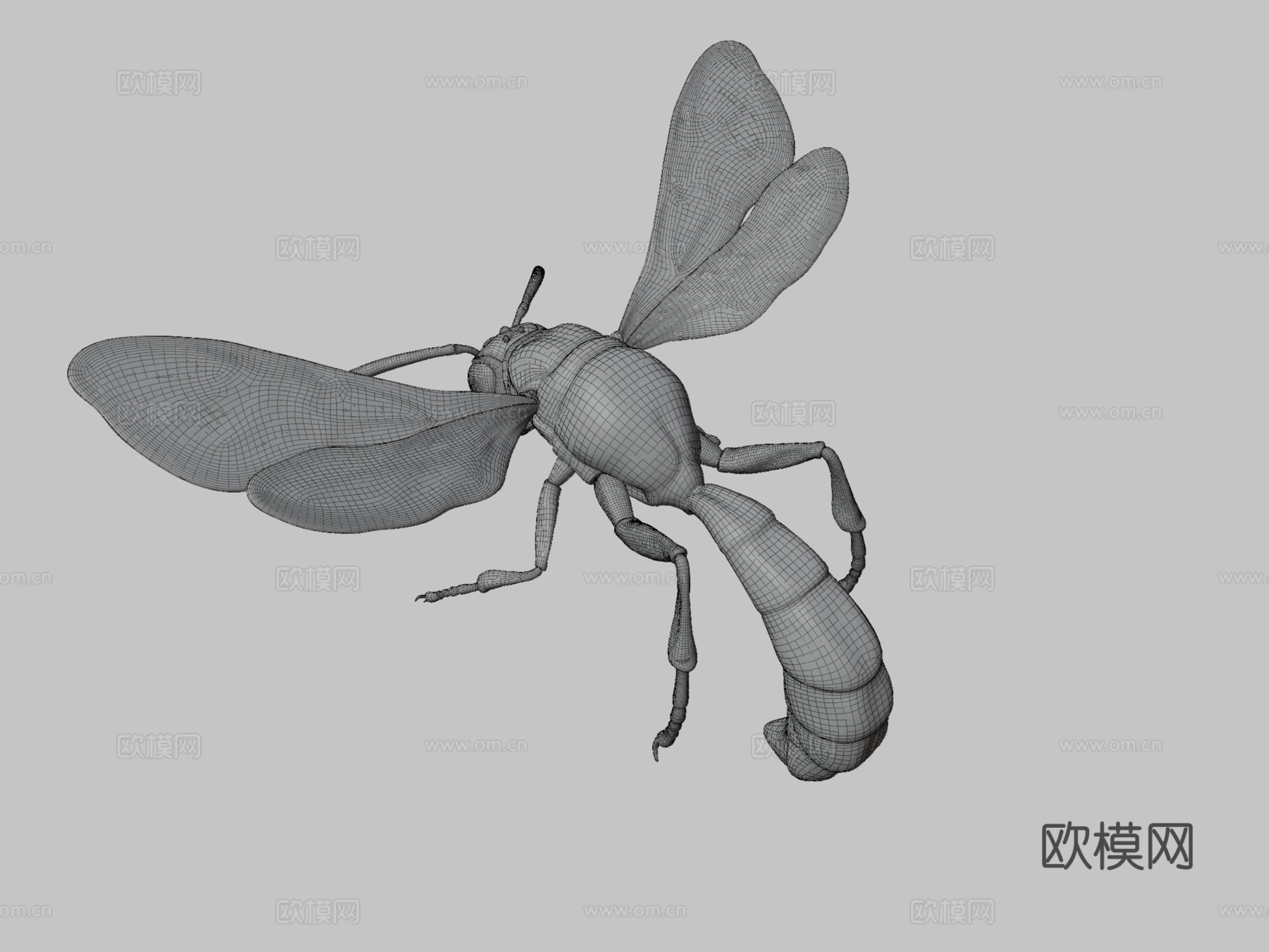 昆虫3d模型下载（渲染图3）