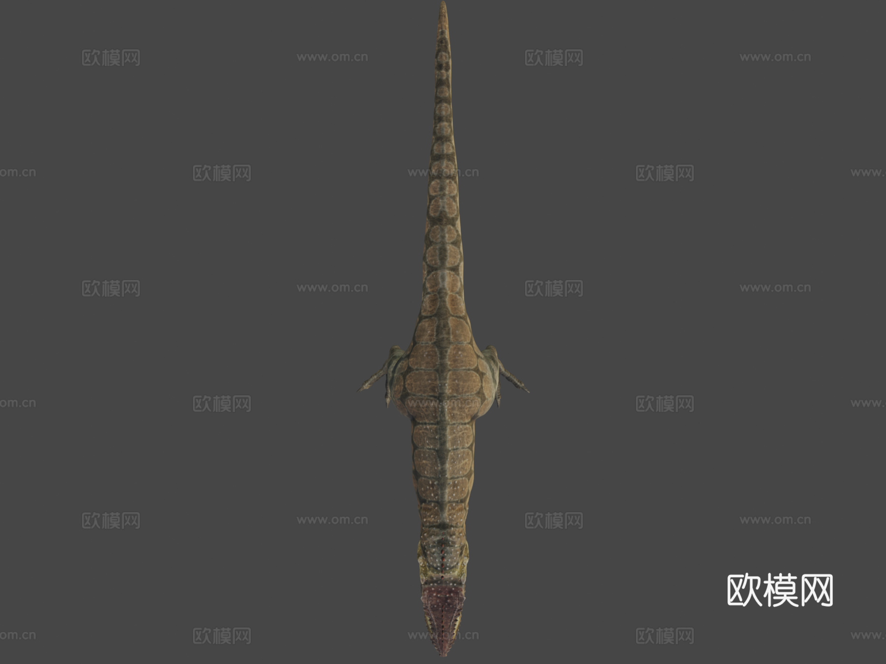 南方巨兽龙3d模型下载（渲染图6）