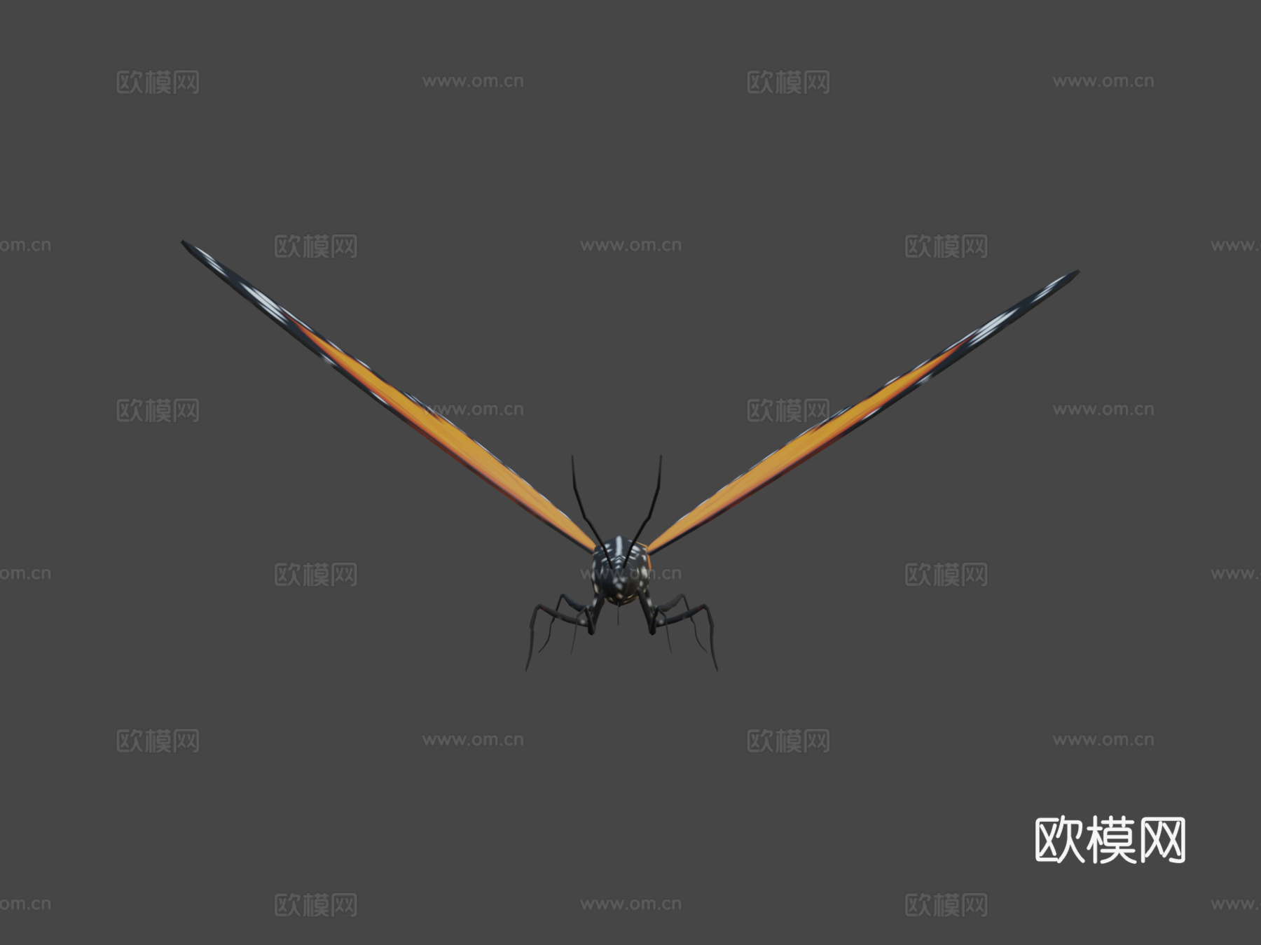 蝴蝶3d模型下载（渲染图5）