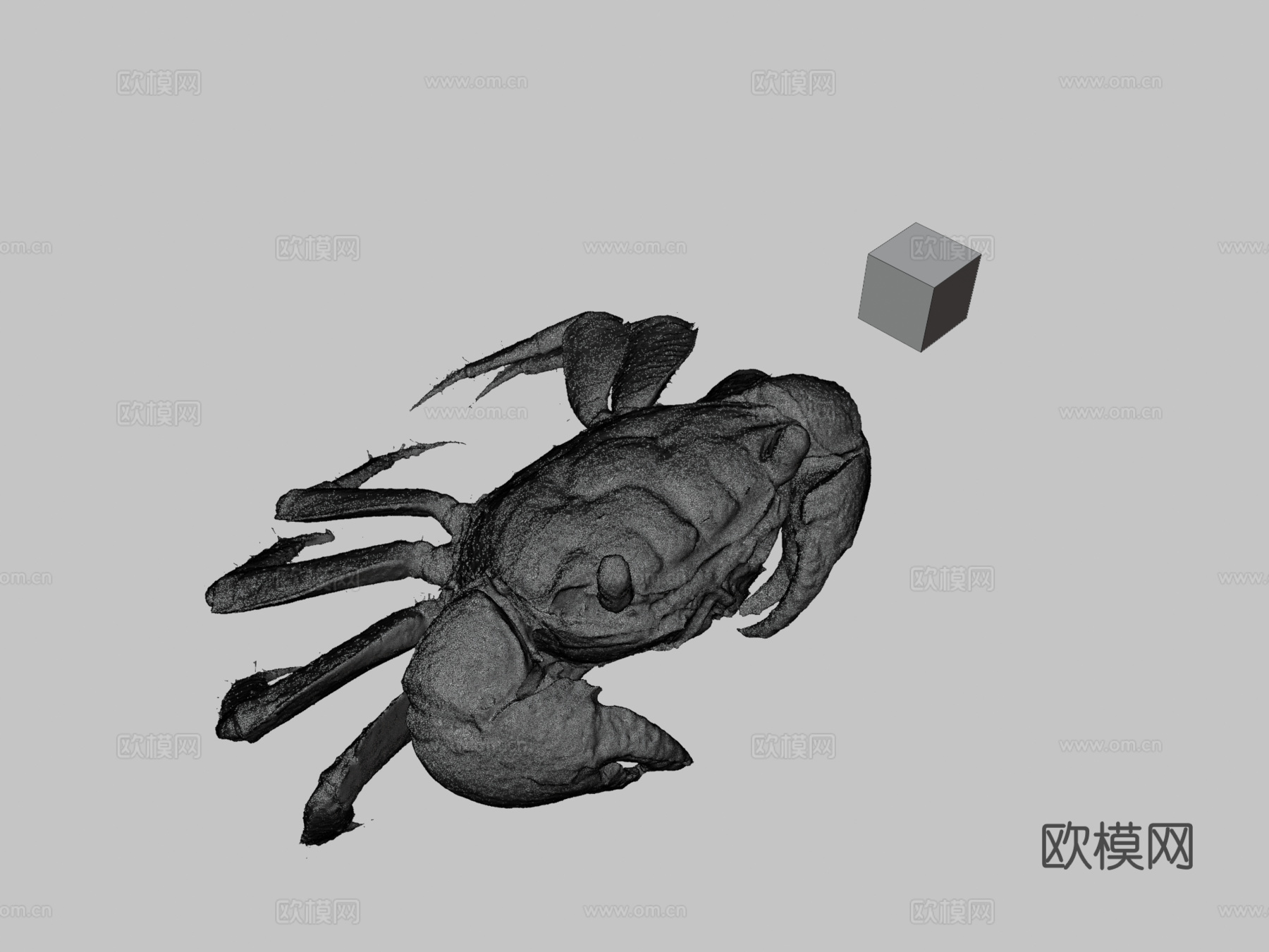 CC0红螯相手蟹♂，近缘拟相手蟹3d模型下载（渲染图3）