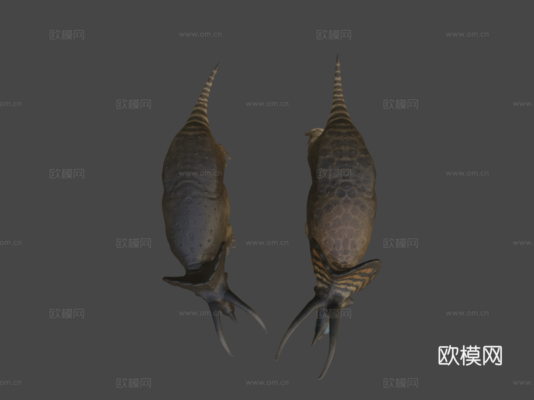 三角龙3d模型下载（渲染图5）