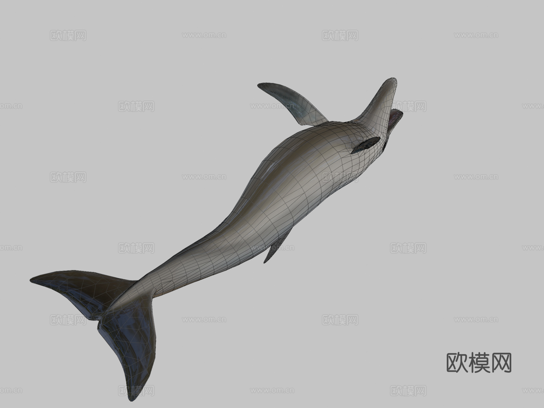 海豚3d模型下载（渲染图2）