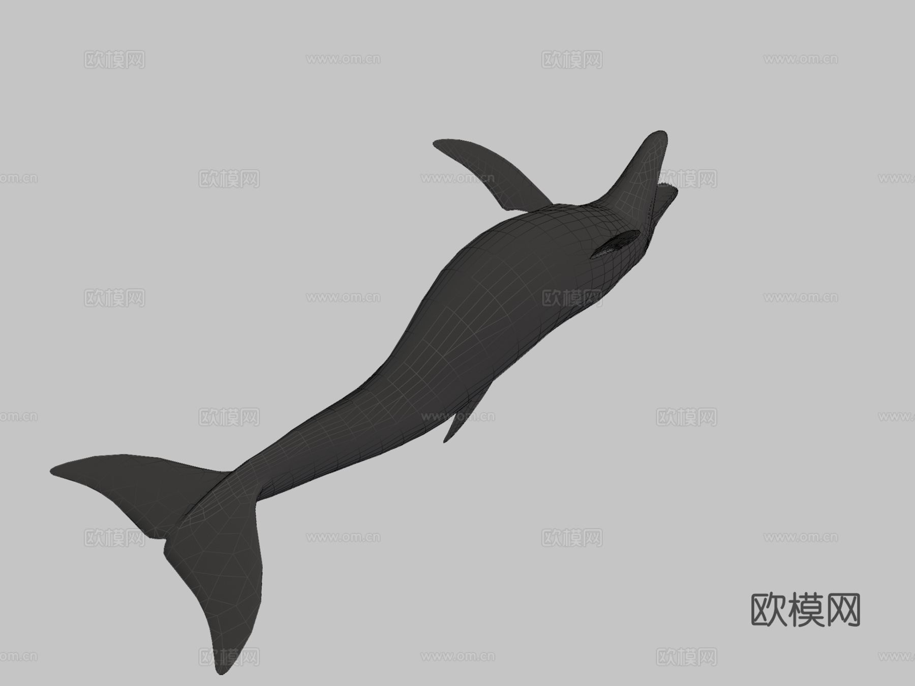 海豚3d模型下载（渲染图3）