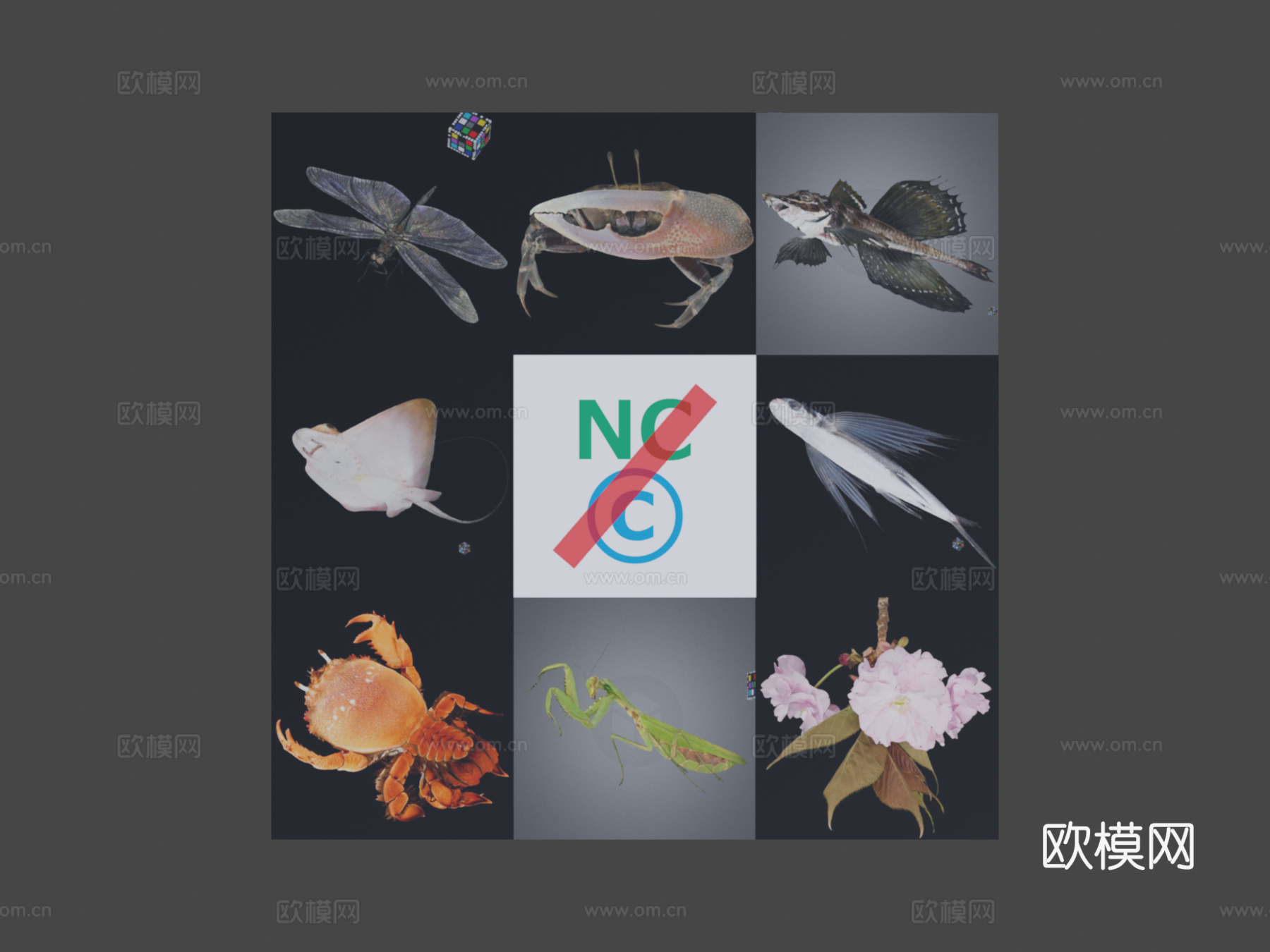 超出默认许可的3D模型使用3d模型下载（渲染图6）