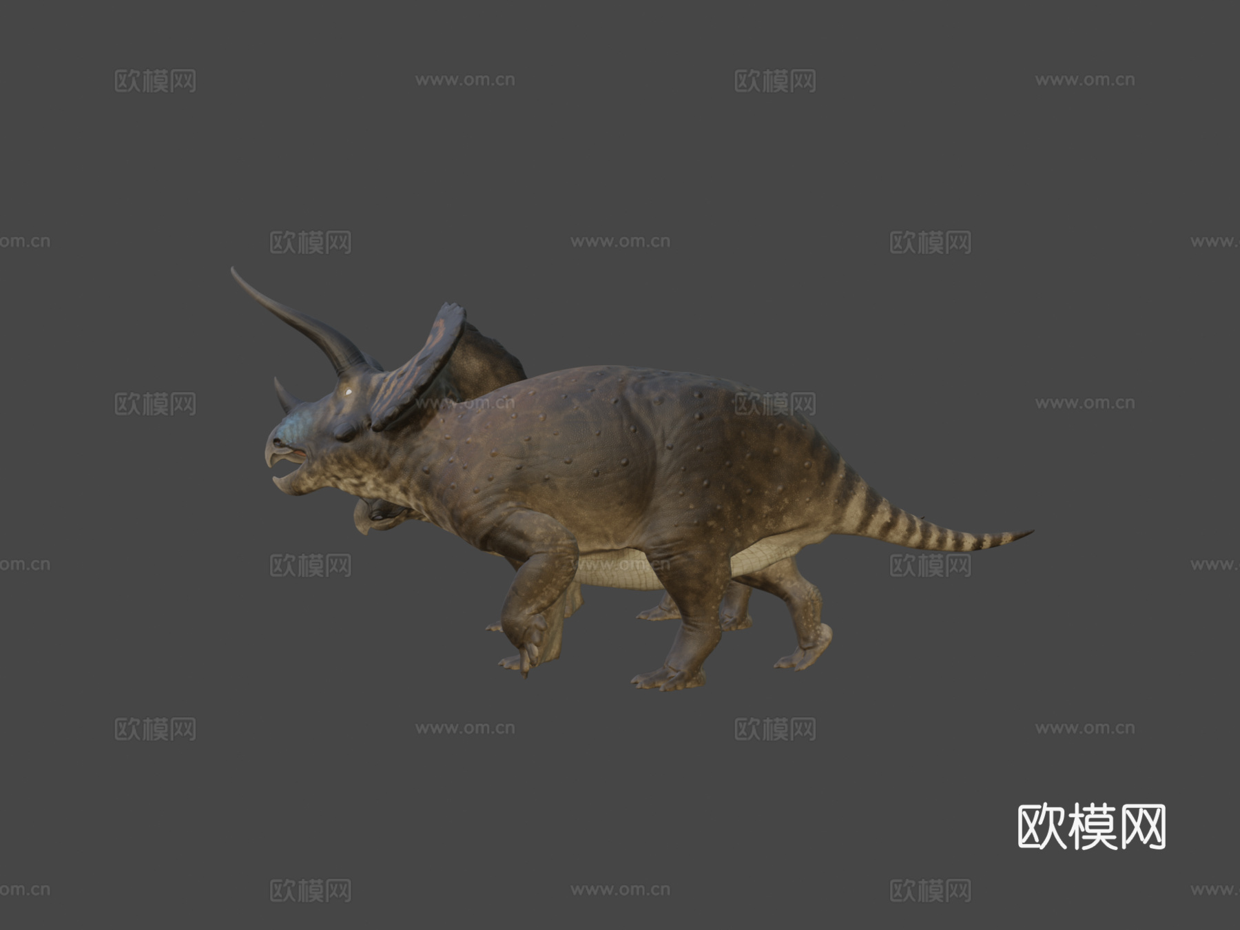 三角龙3d模型下载（渲染图7）