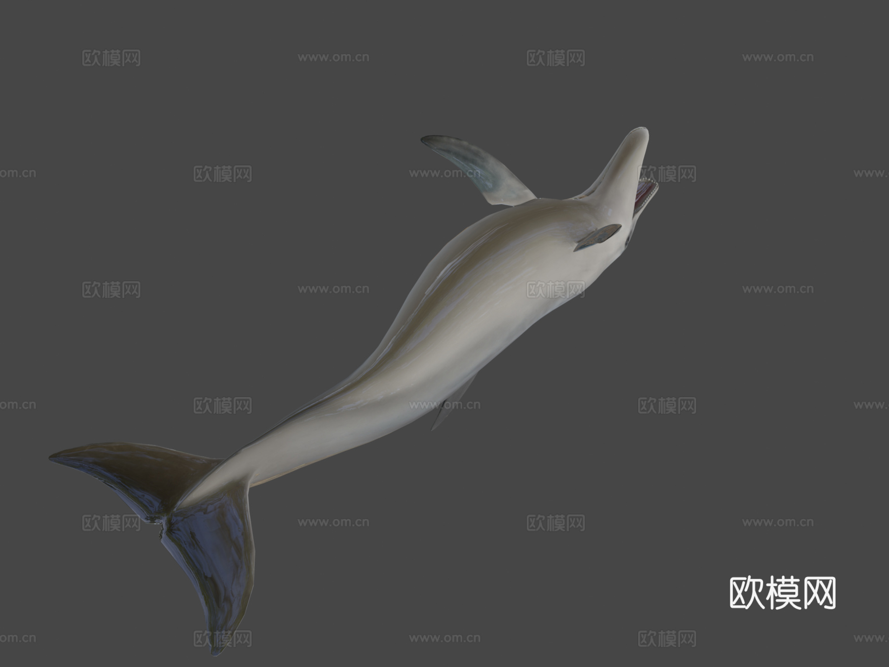 海豚3d模型下载（渲染图7）