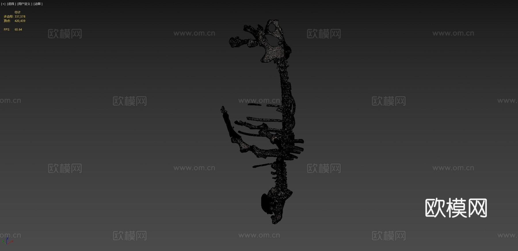披毛犀3d模型下载（渲染图4）