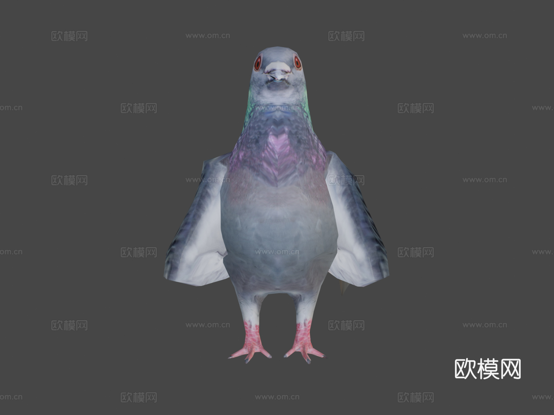鸽子3d模型下载（渲染图6）