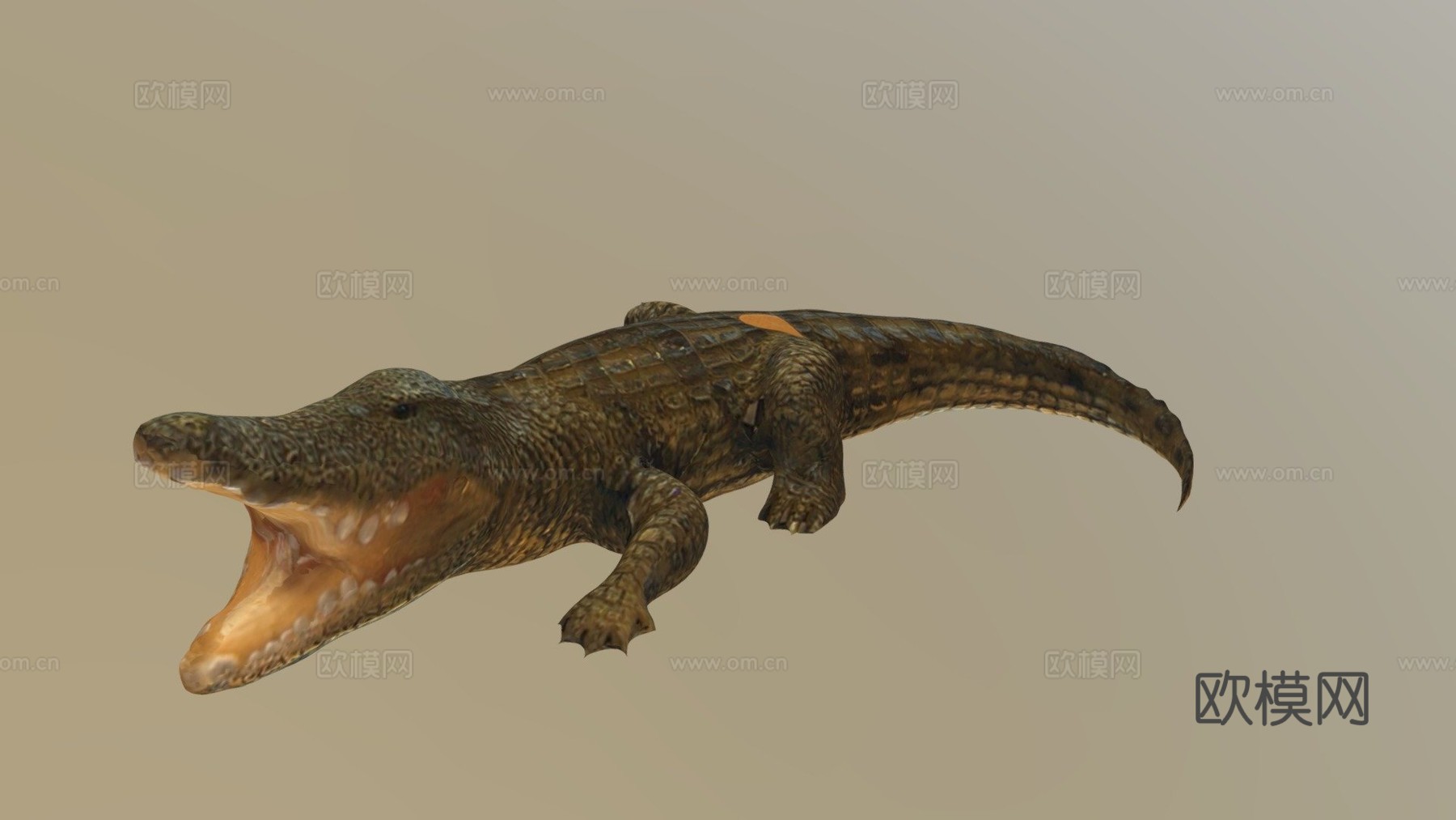 短吻鳄3d模型下载（渲染图1）