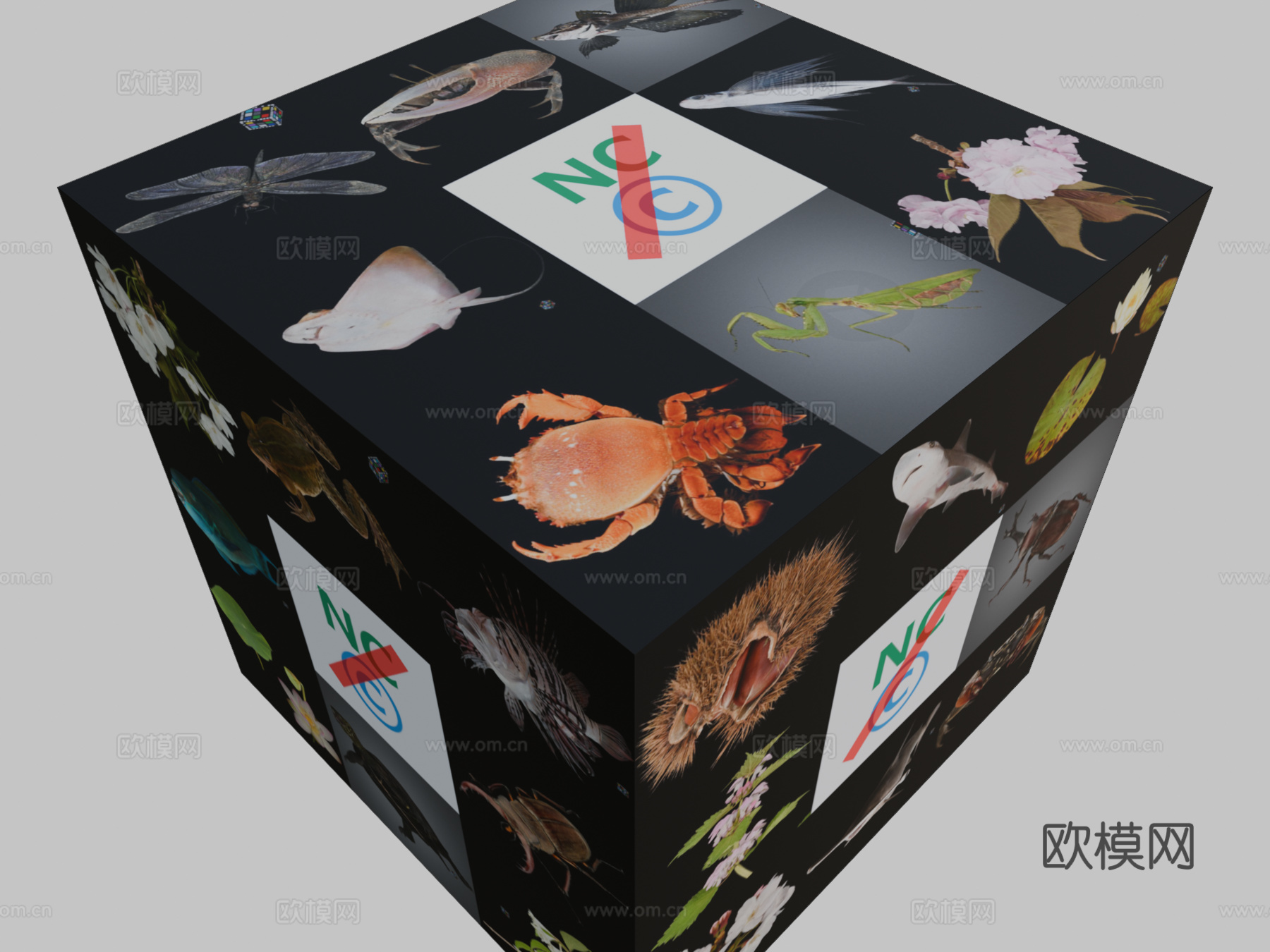 超出默认许可的3D模型使用3d模型下载（渲染图2）