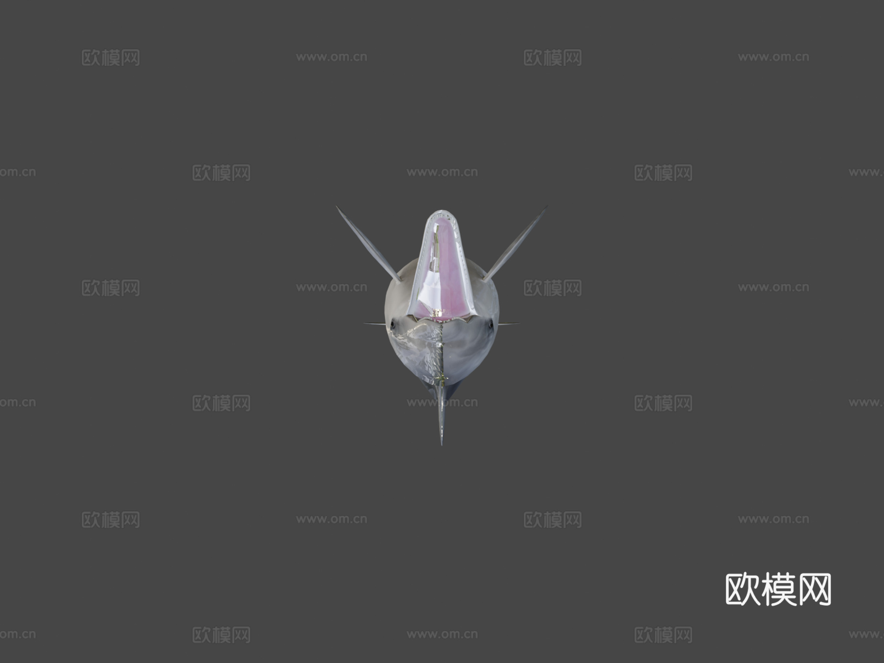 海豚3d模型下载（渲染图5）