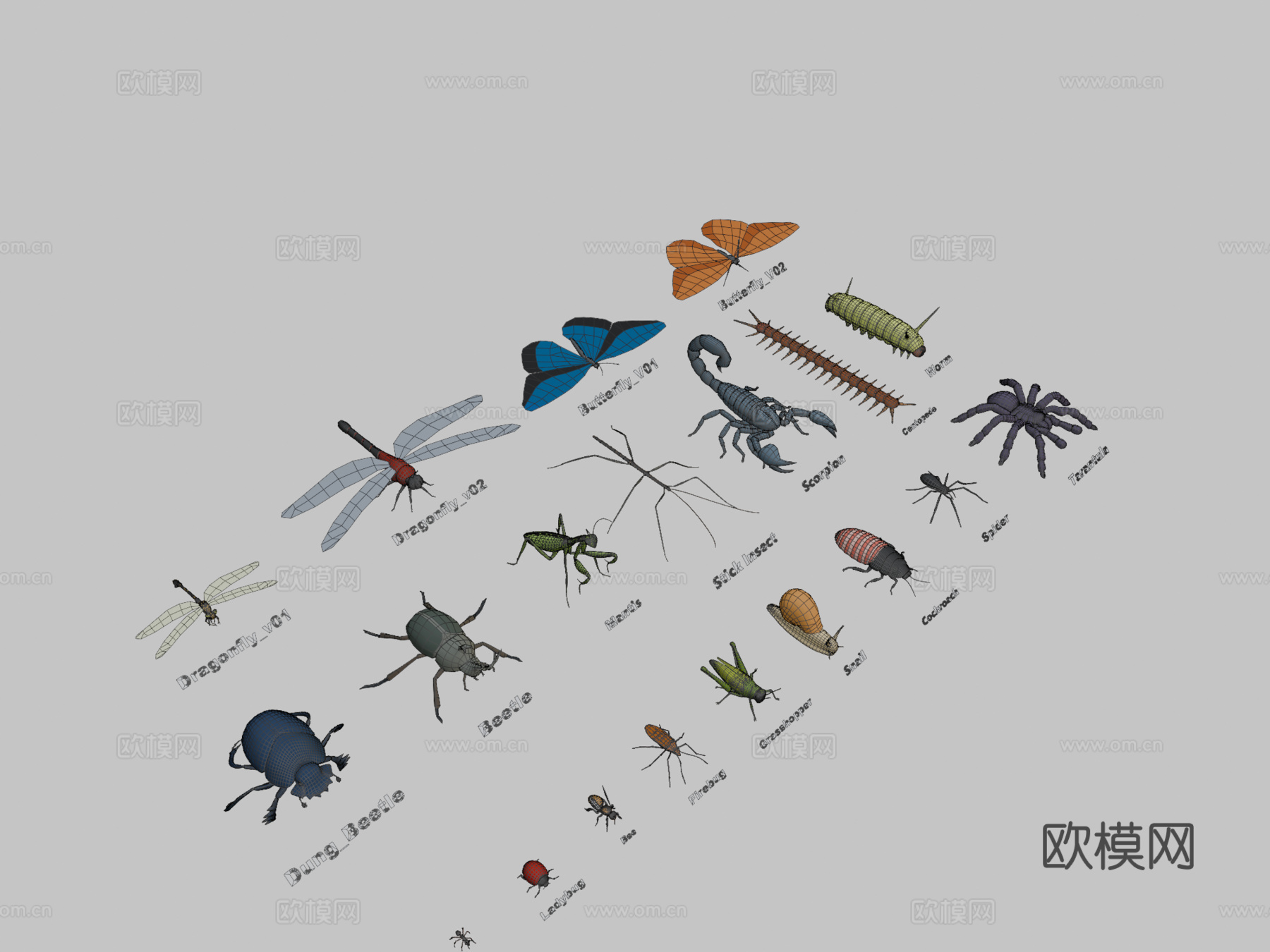 动物包-昆虫3d模型下载（渲染图2）