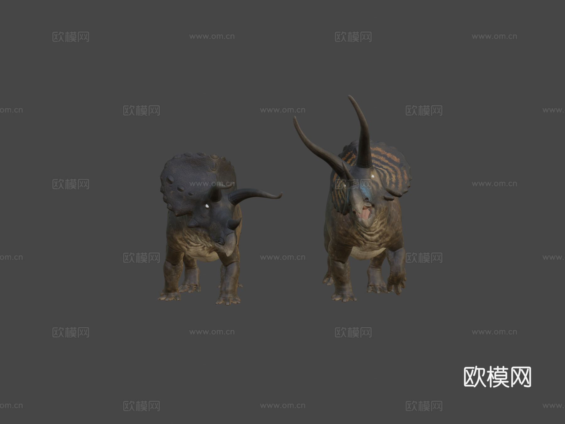 三角龙3d模型下载（渲染图6）