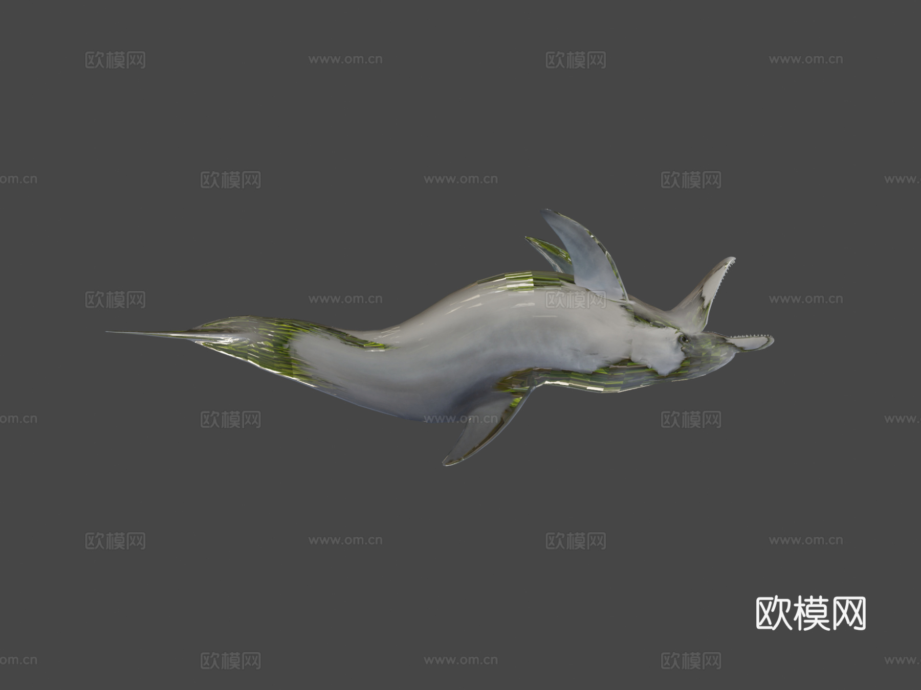 海豚3d模型下载（渲染图8）