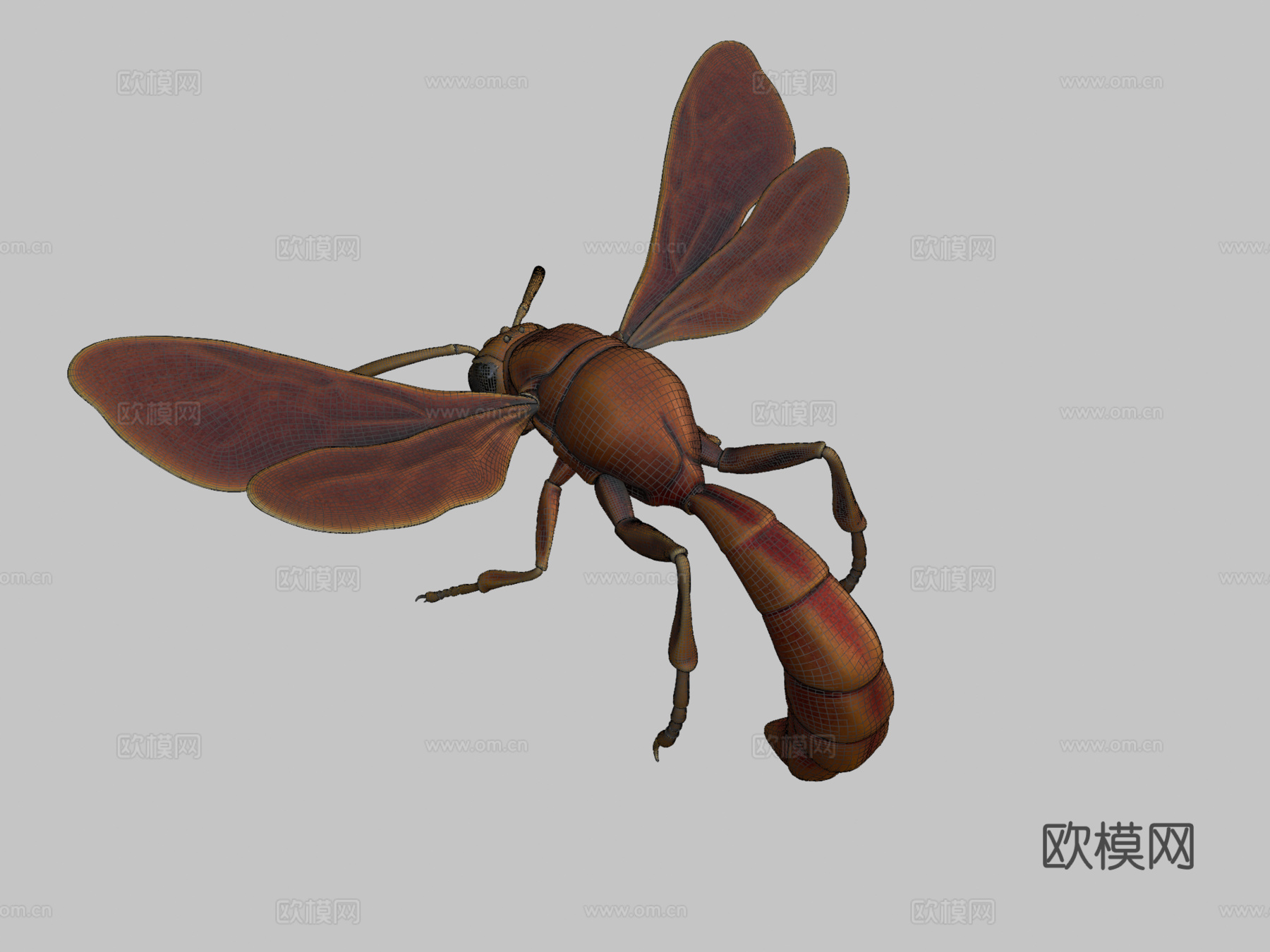 昆虫3d模型下载（渲染图2）