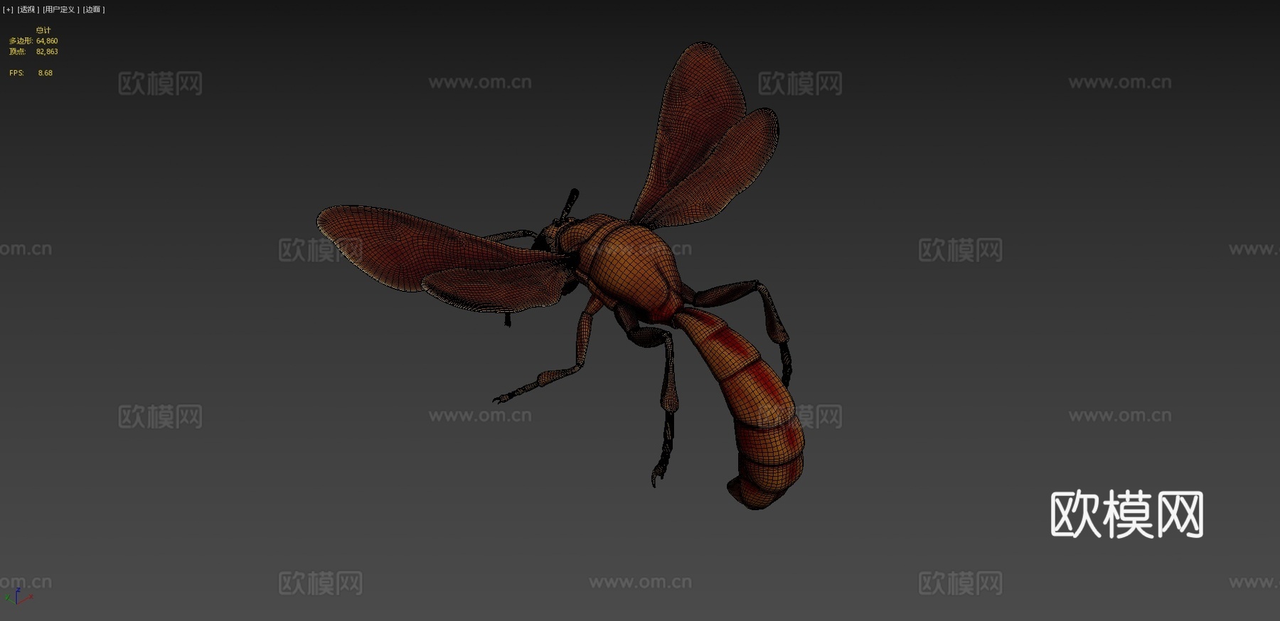 昆虫3d模型下载（渲染图4）