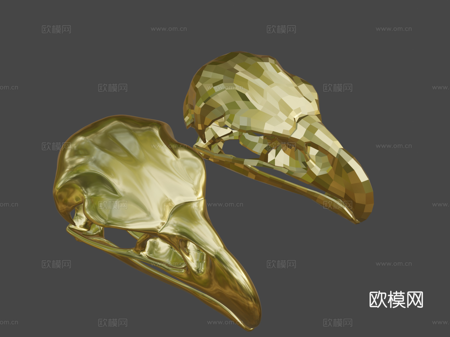 鹰头骨3d模型下载（渲染图1）