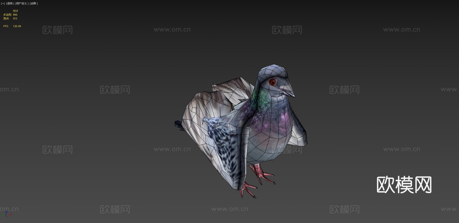 鸽子3d模型下载（渲染图4）