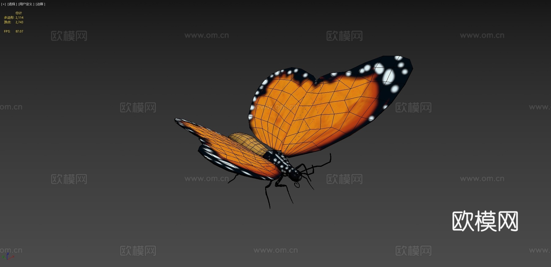 蝴蝶3d模型下载（渲染图4）