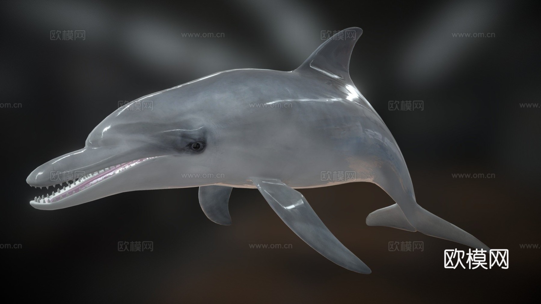 海豚3d模型下载（渲染图1）