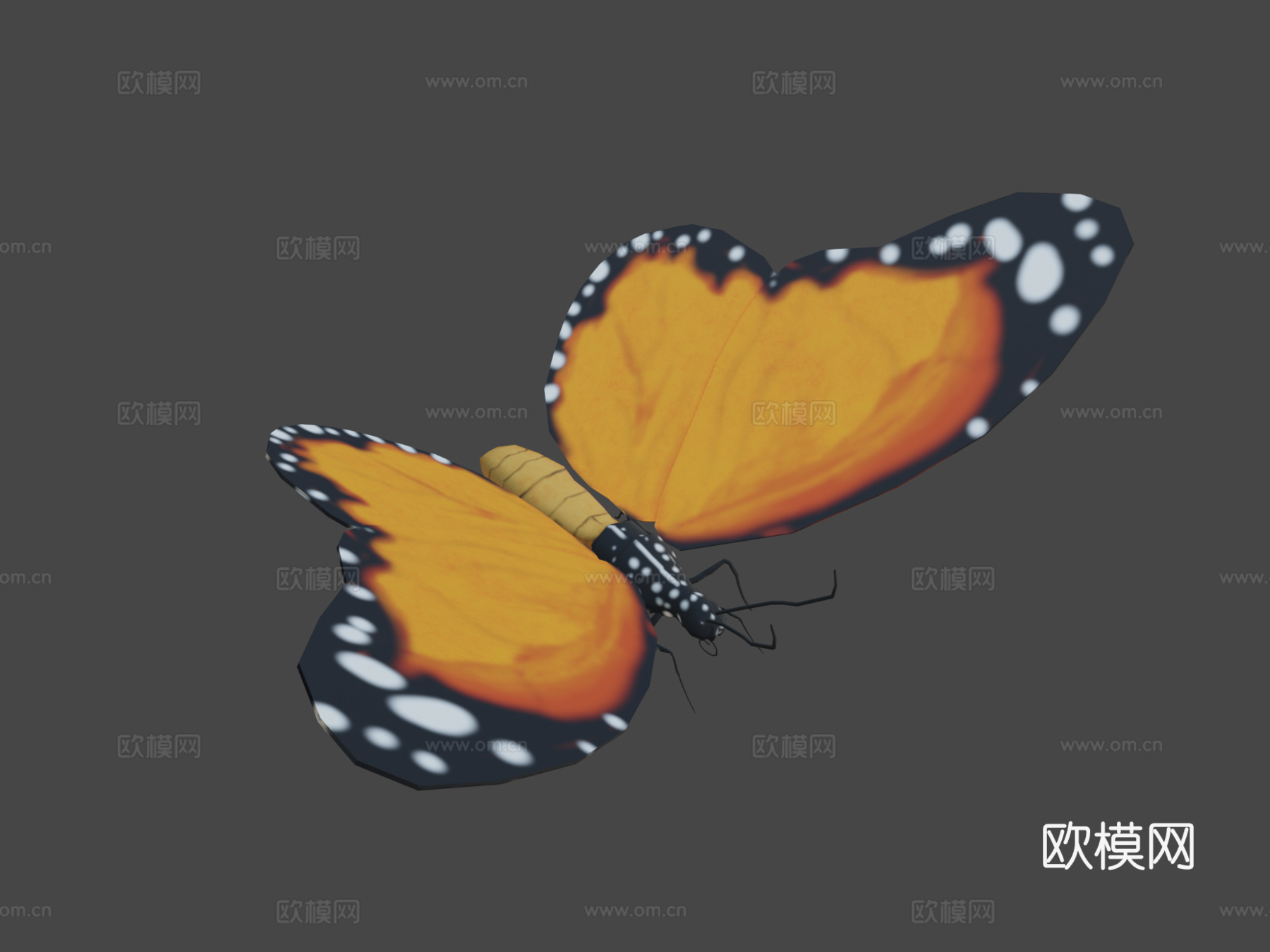 蝴蝶3d模型下载（渲染图7）