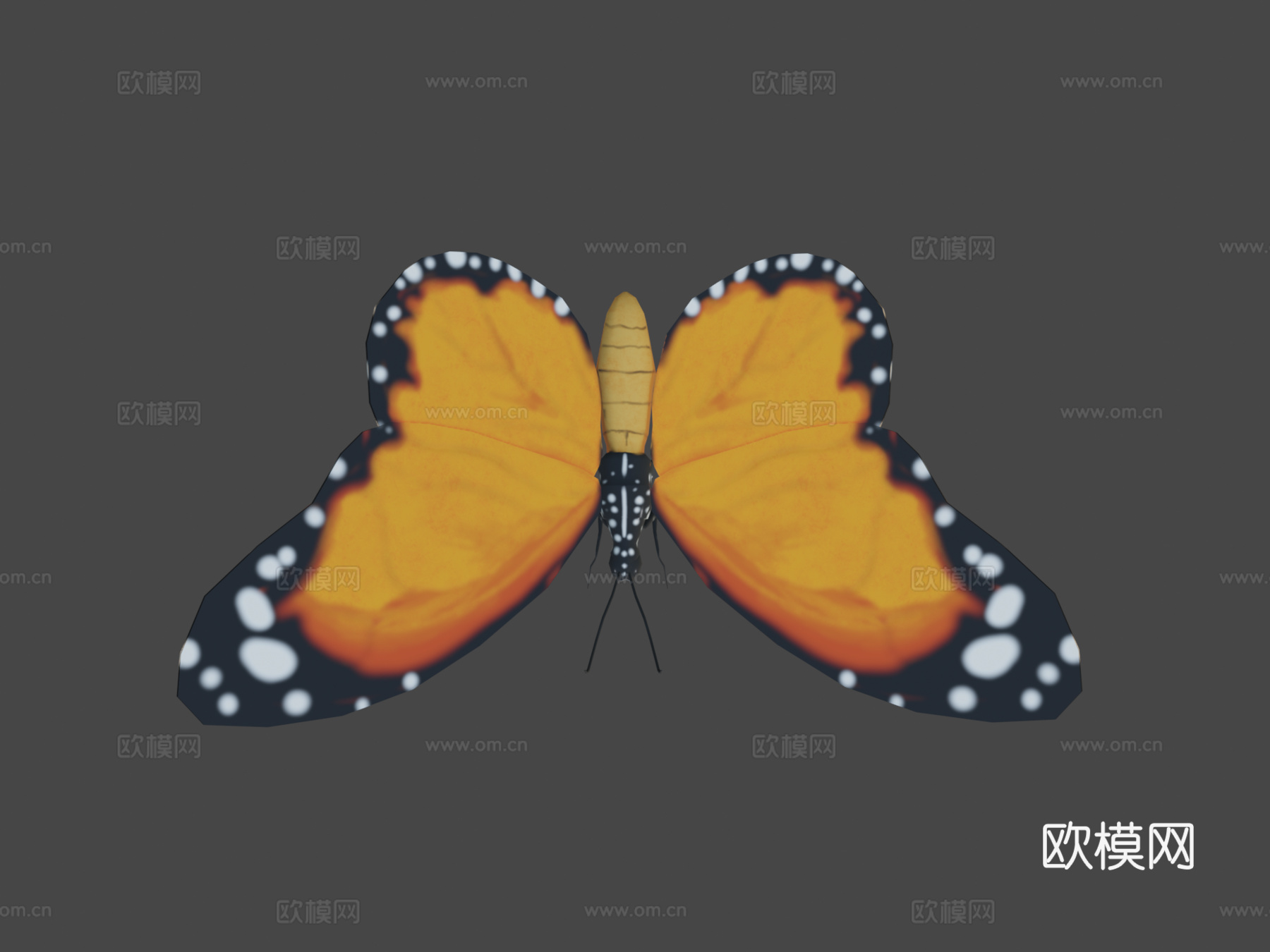 蝴蝶3d模型下载（渲染图8）