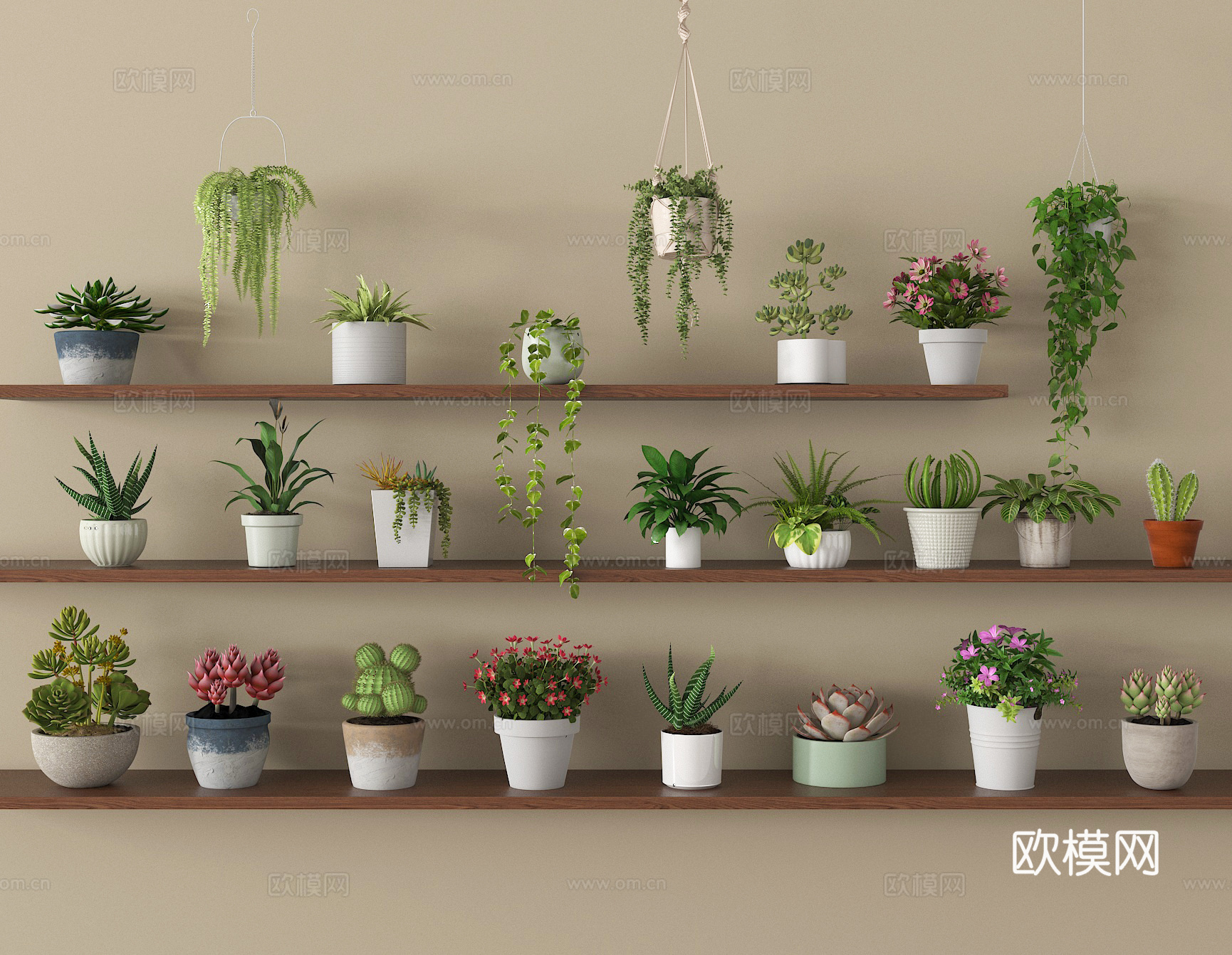 现代盆栽绿植盆栽su模型