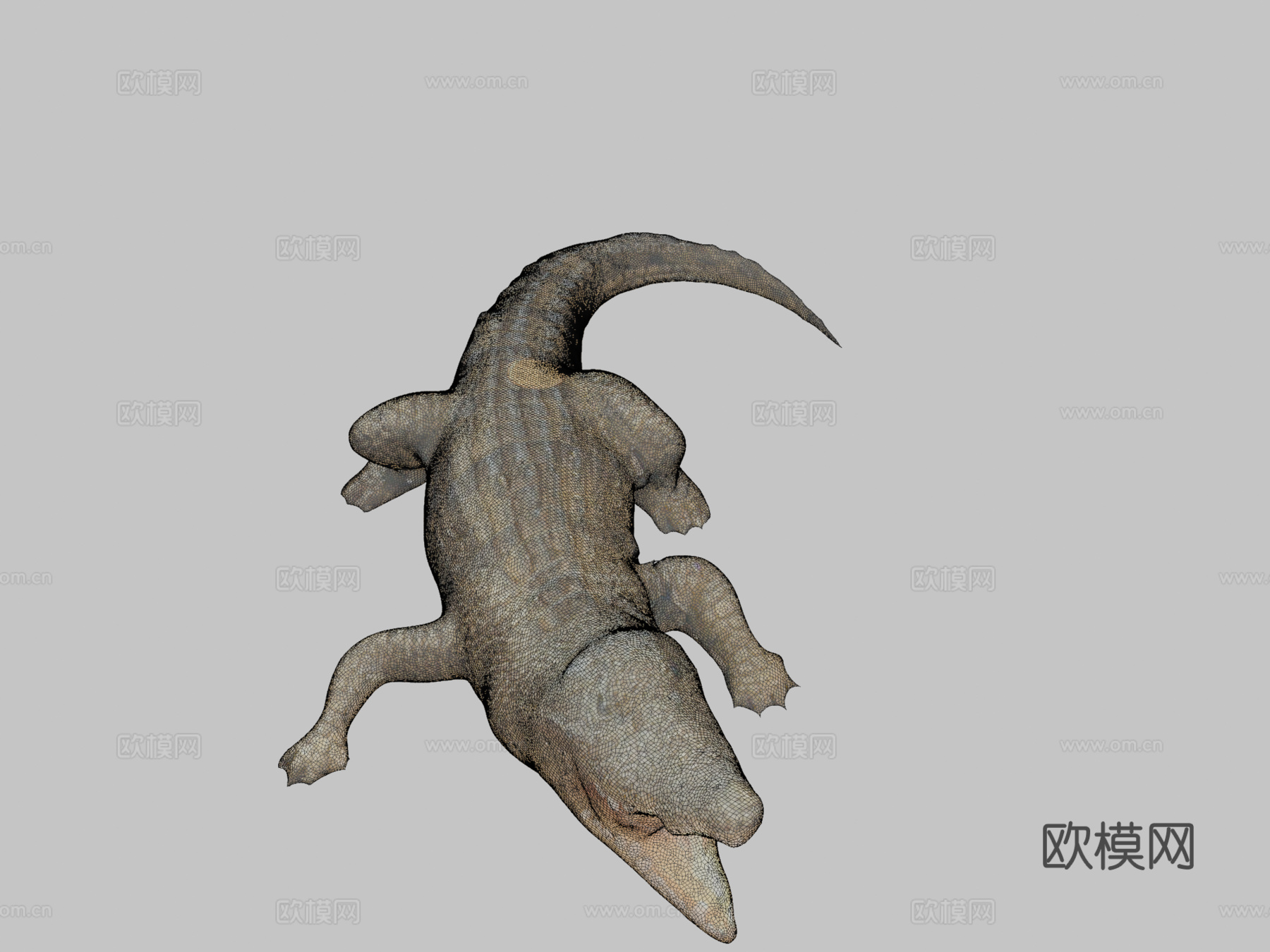 短吻鳄3d模型下载（渲染图2）