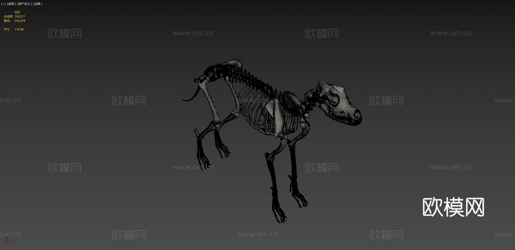 大丹犬-骨架3d模型下载（渲染图4）