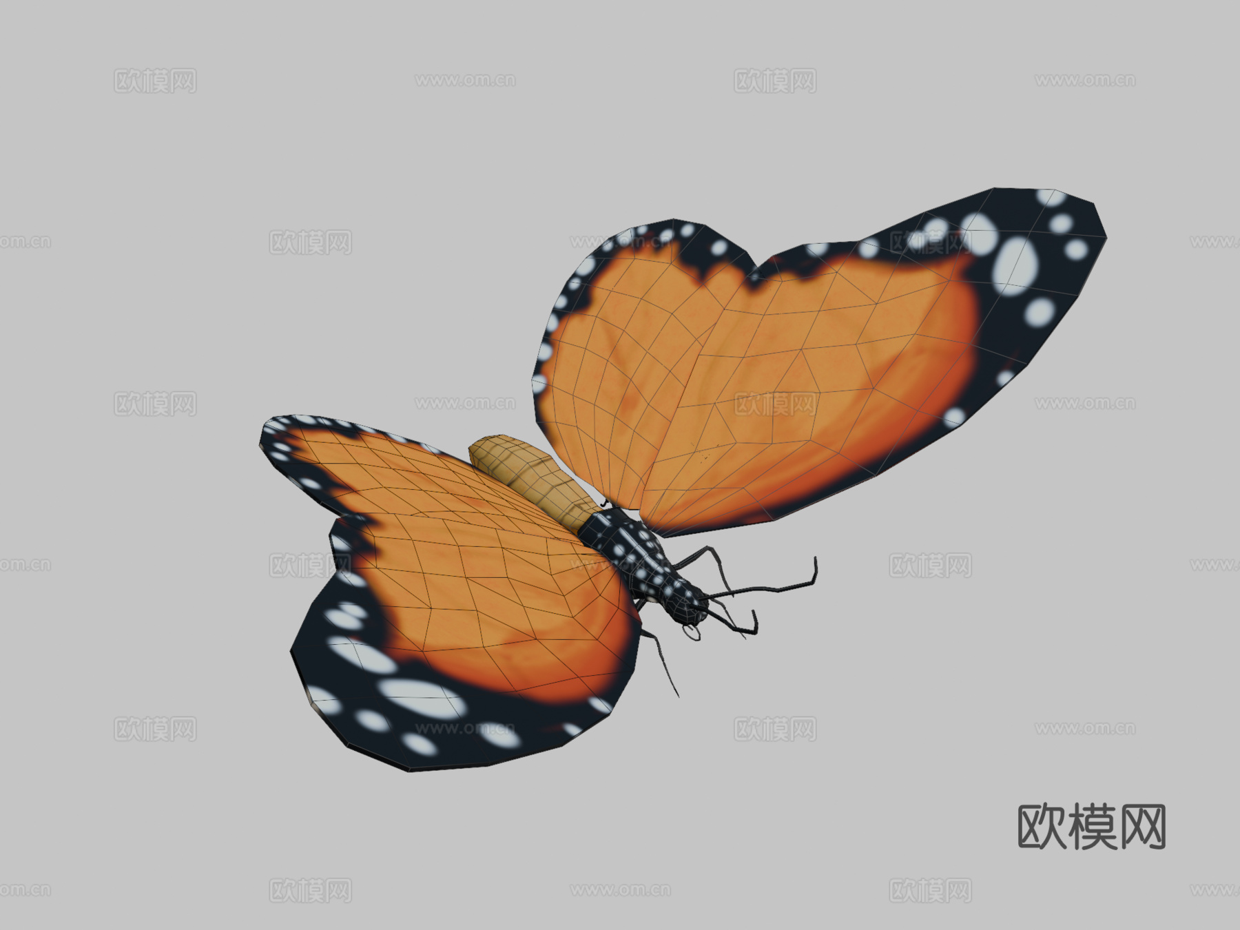 蝴蝶3d模型下载（渲染图2）