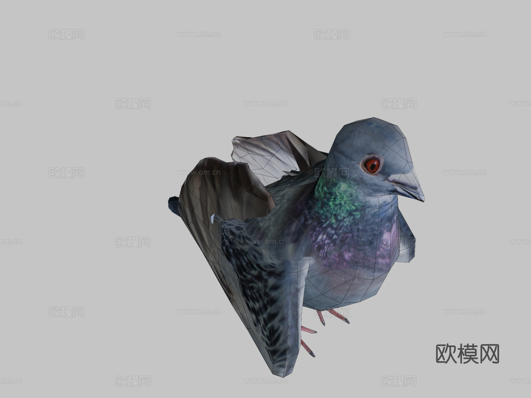 鸽子3d模型下载（渲染图2）