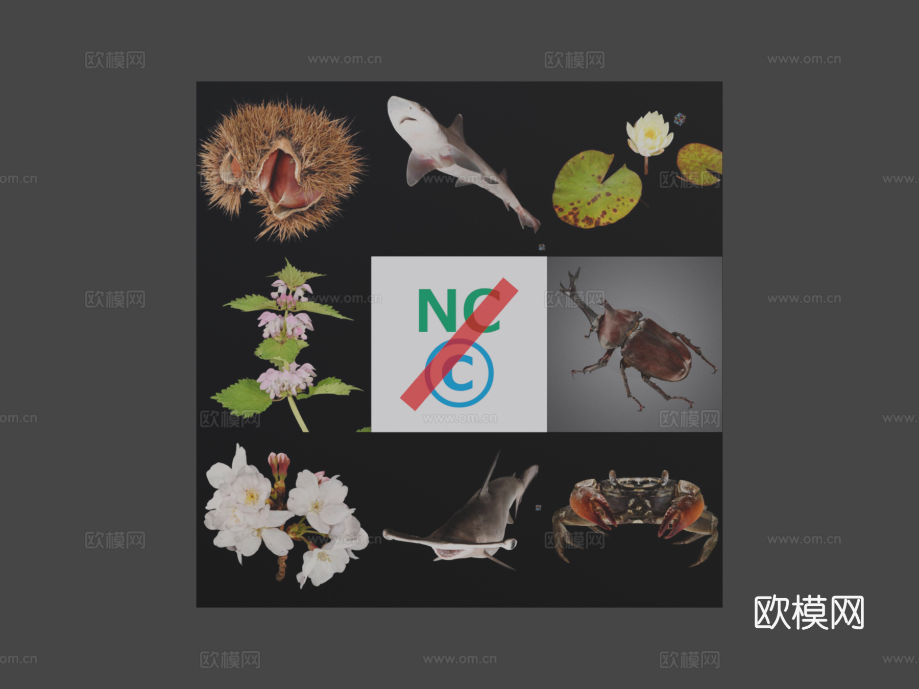 超出默认许可的3D模型使用3d模型下载（渲染图7）