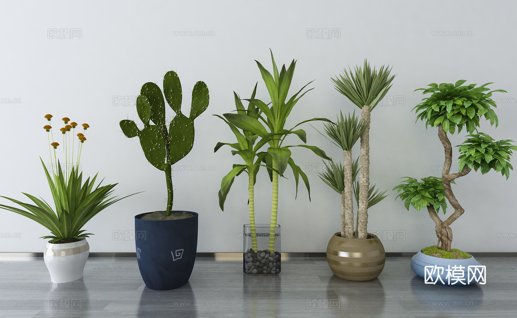 现代植物盆栽3d模型