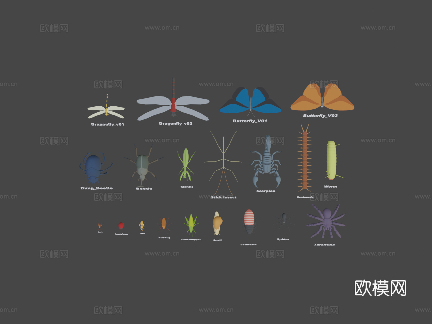 动物包-昆虫3d模型下载（渲染图7）