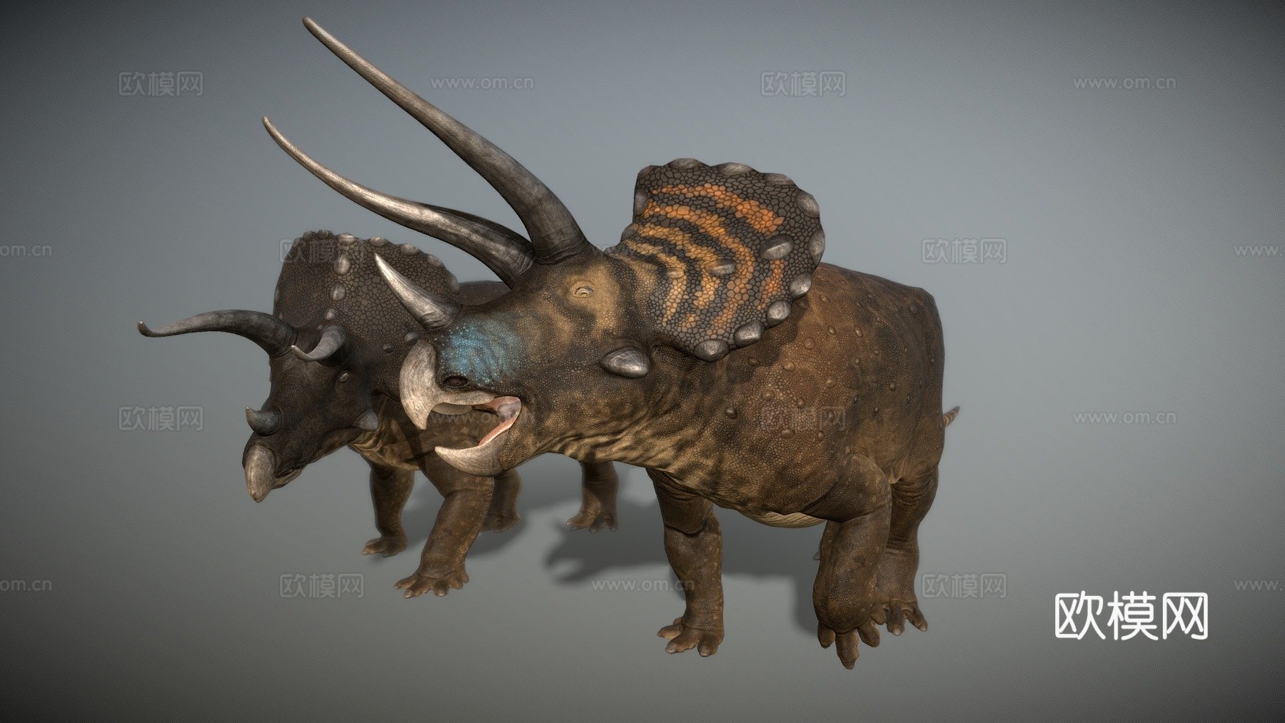 三角龙3d模型下载（渲染图1）