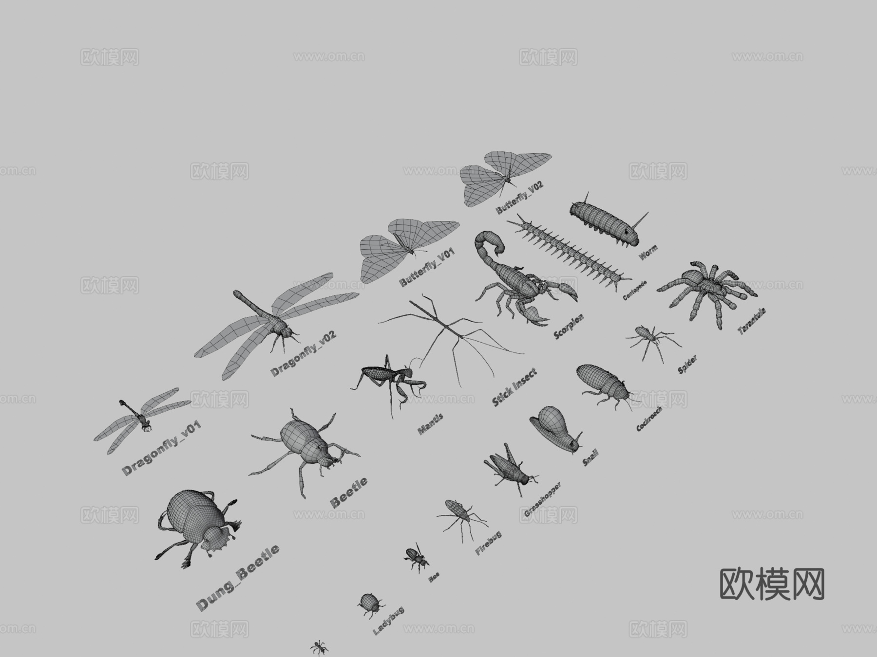 动物包-昆虫3d模型下载（渲染图3）
