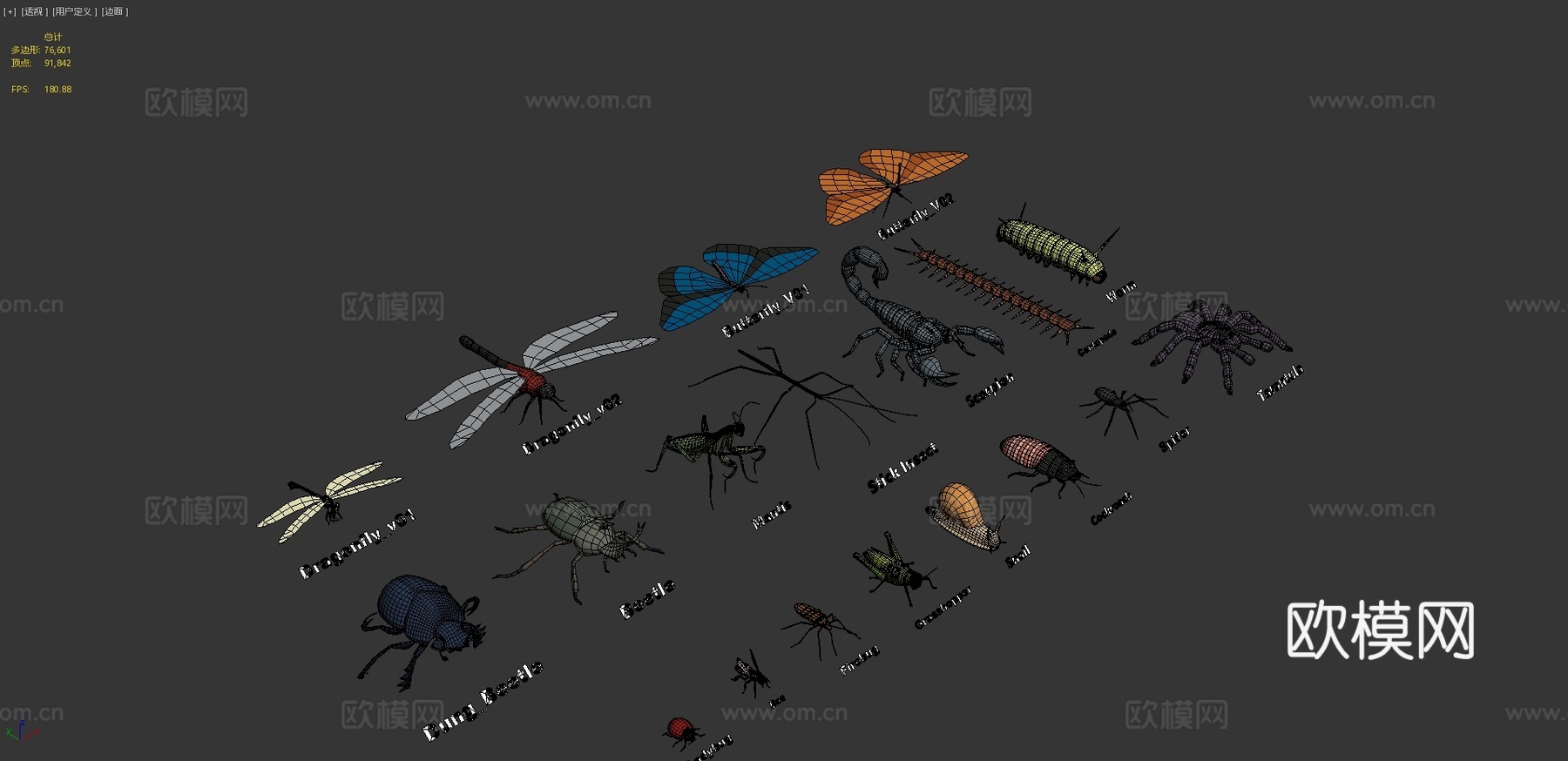 动物包-昆虫3d模型下载（渲染图4）