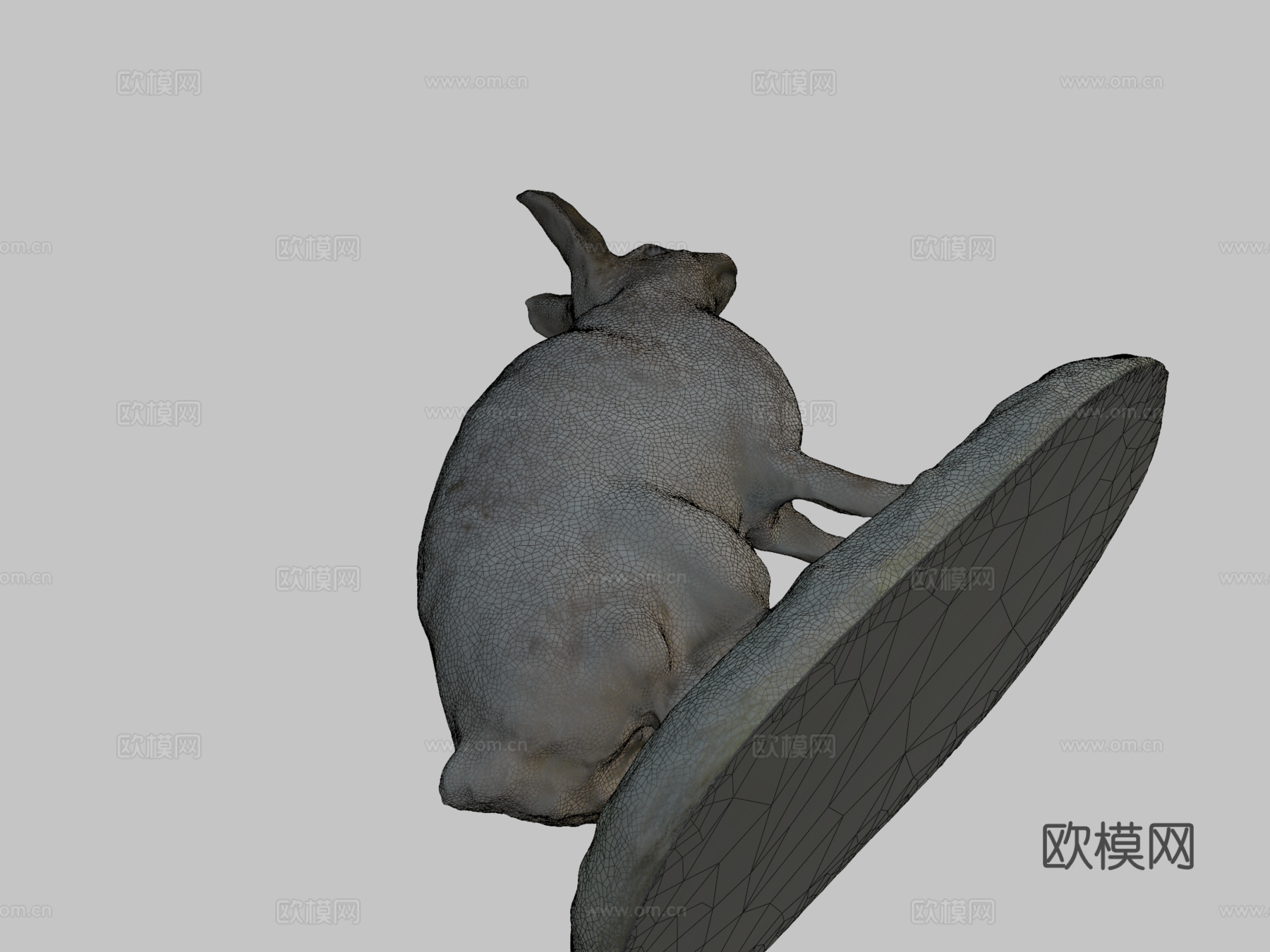 NSMT-M_32036雪鞋野兔（标本）3d模型下载（渲染图2）