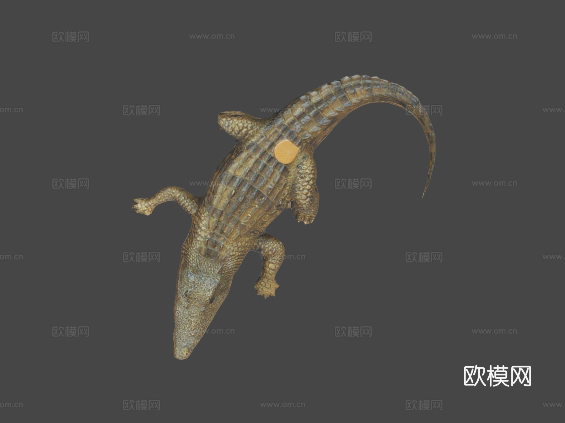 短吻鳄3d模型下载（渲染图8）