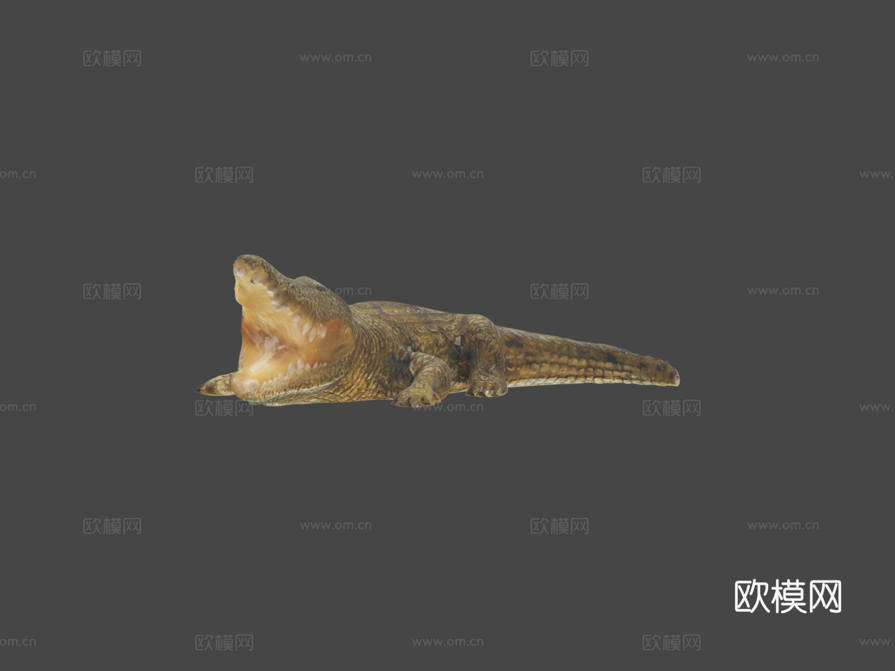 短吻鳄3d模型下载（渲染图5）