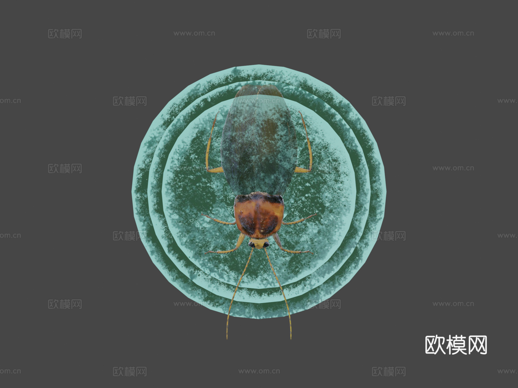 蟑螂3d模型下载（渲染图7）
