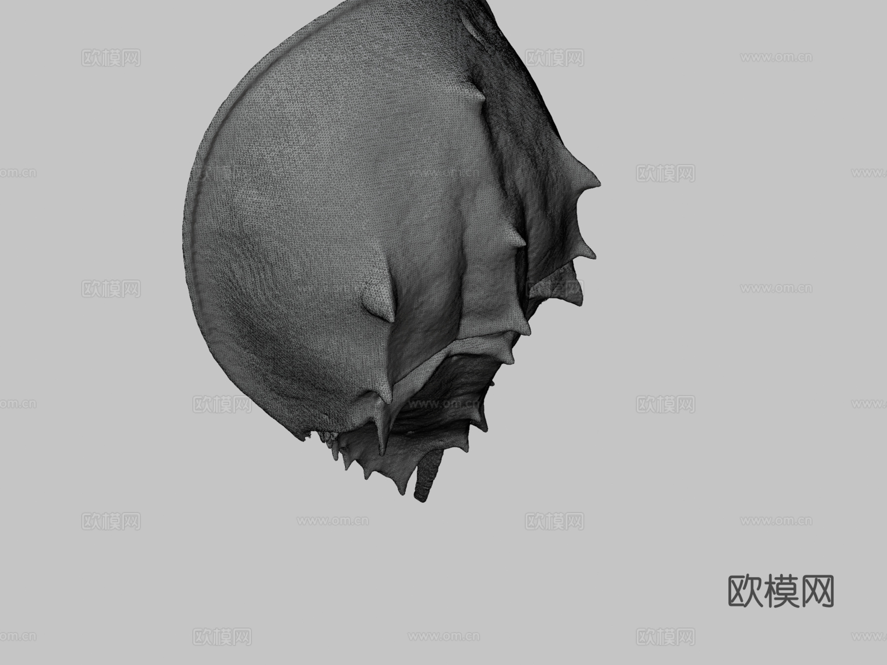 大西洋鲎3d模型下载（渲染图3）