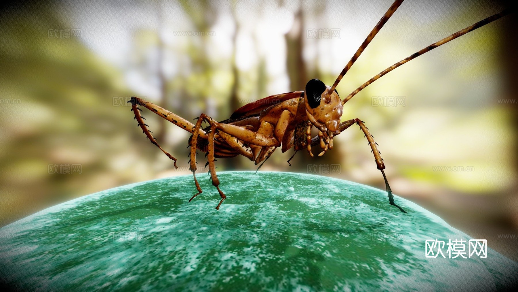 蟑螂3d模型下载（渲染图1）