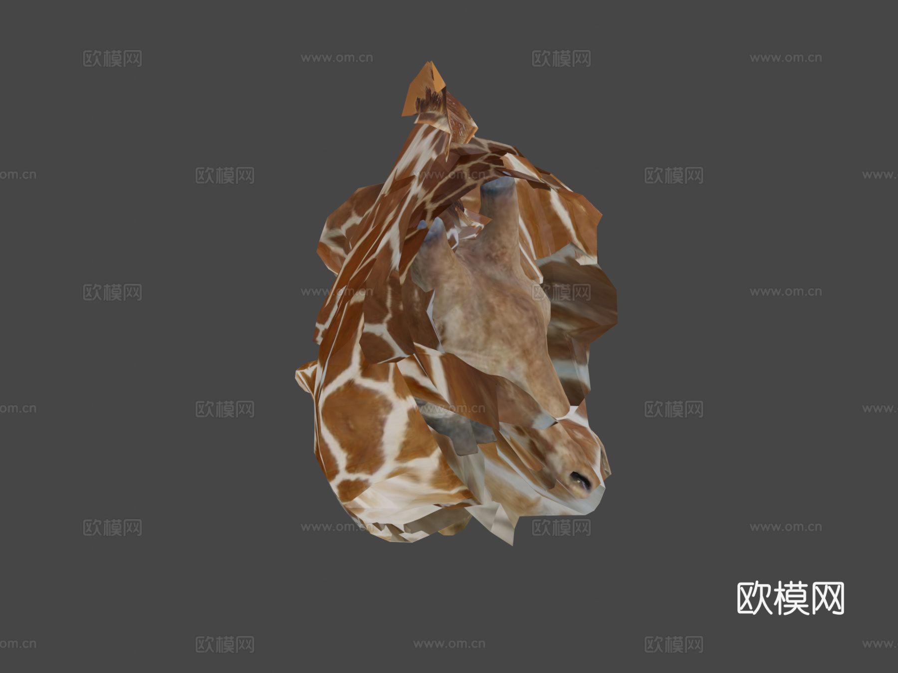 动物界-长颈鹿3d模型下载（渲染图7）