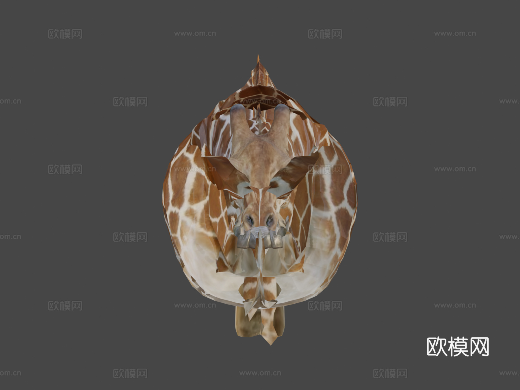 动物界-长颈鹿3d模型下载（渲染图8）