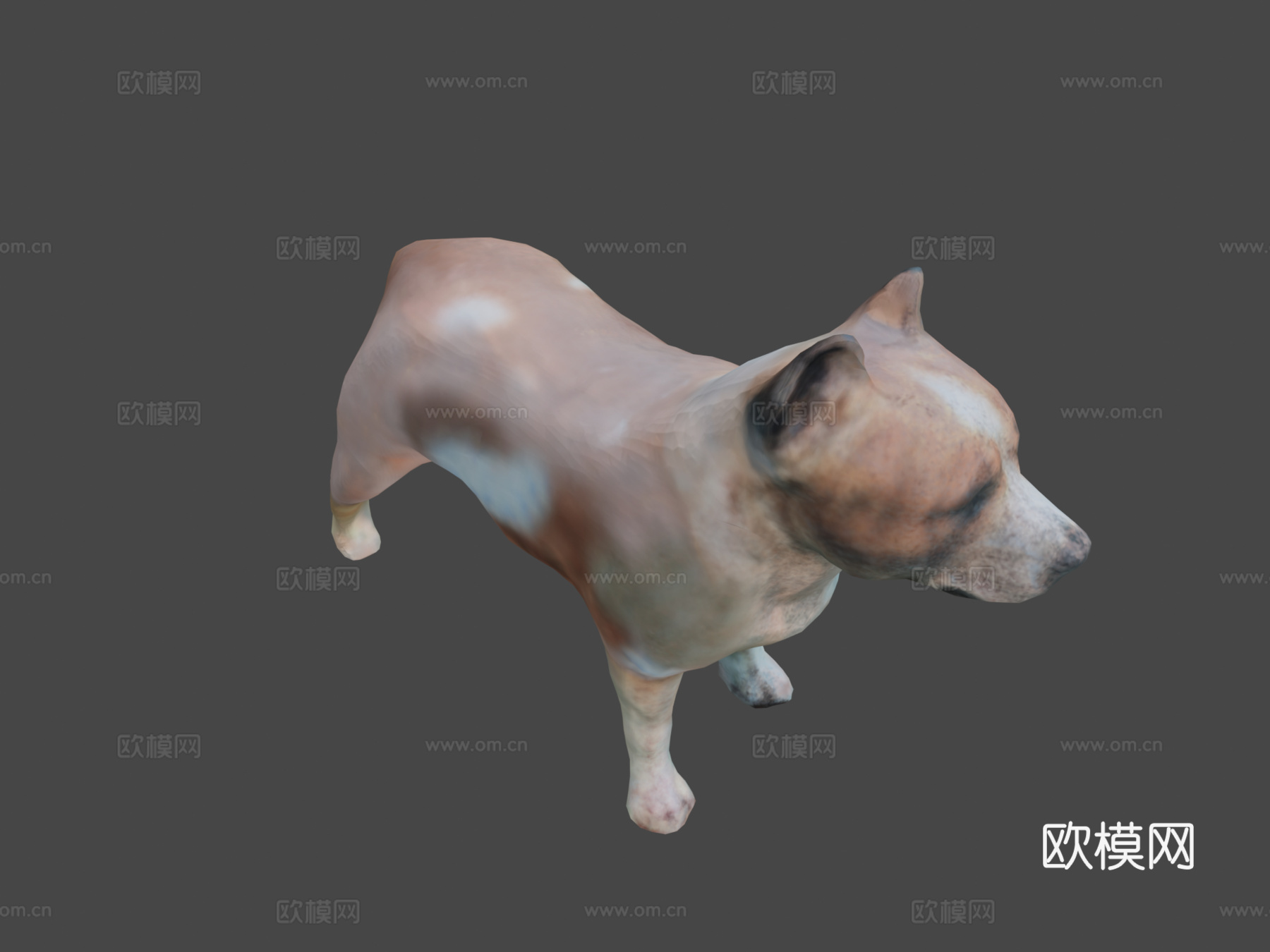 比特犬3d模型下载（渲染图7）
