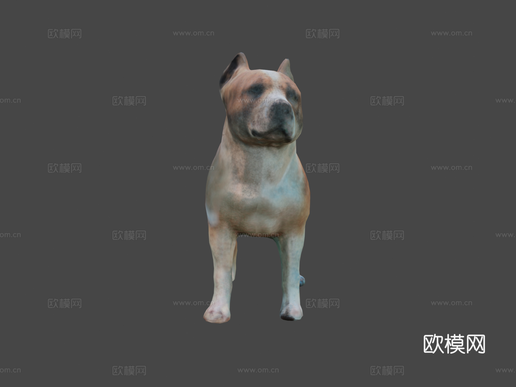 比特犬3d模型下载（渲染图6）