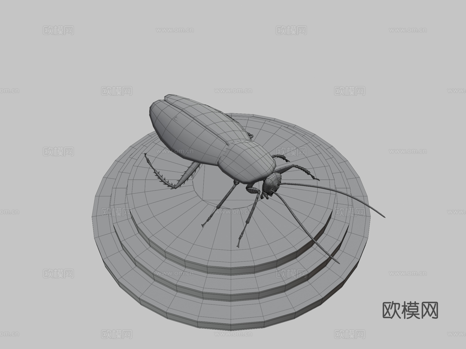 蟑螂3d模型下载（渲染图4）
