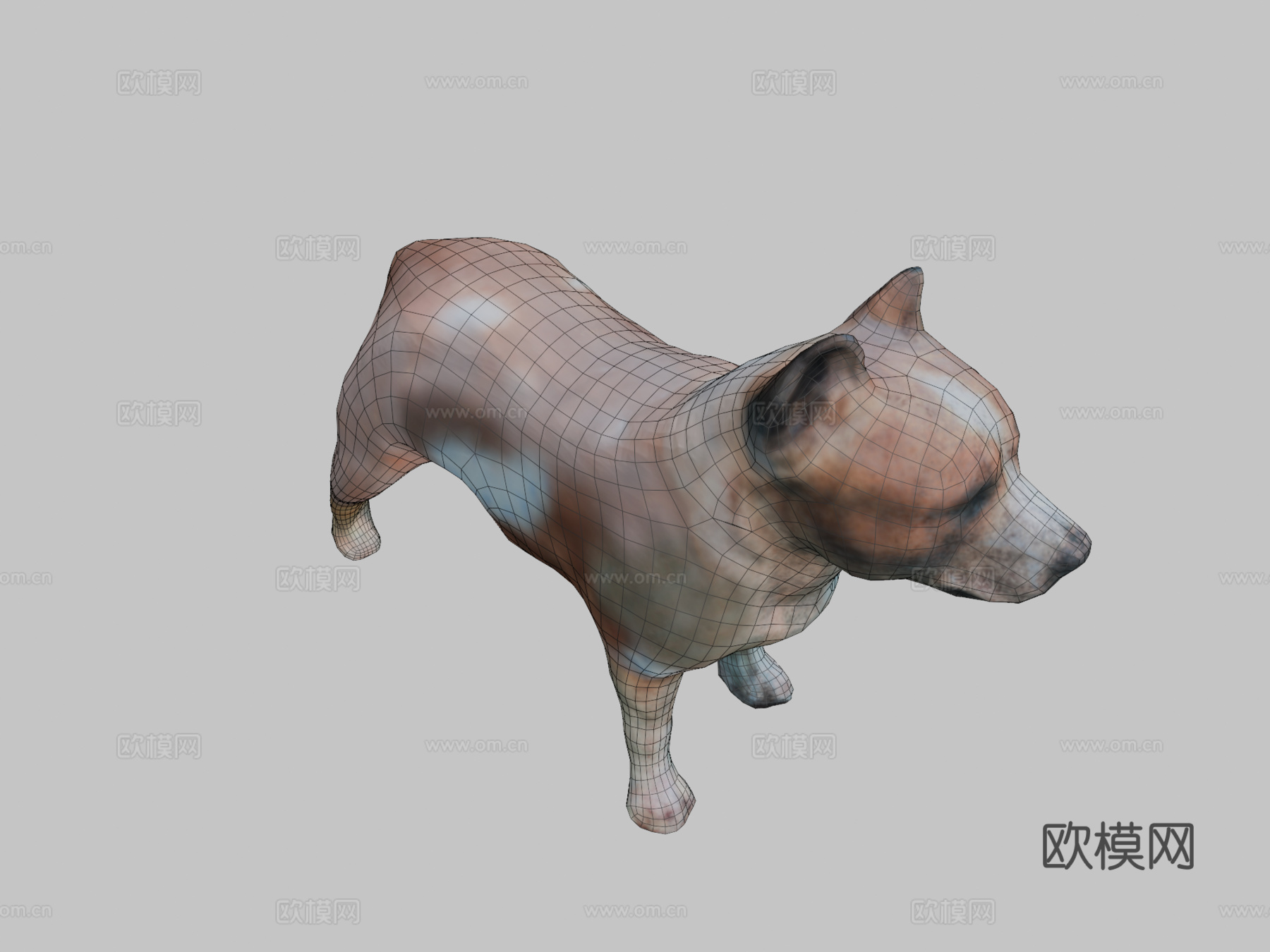 比特犬3d模型下载（渲染图2）