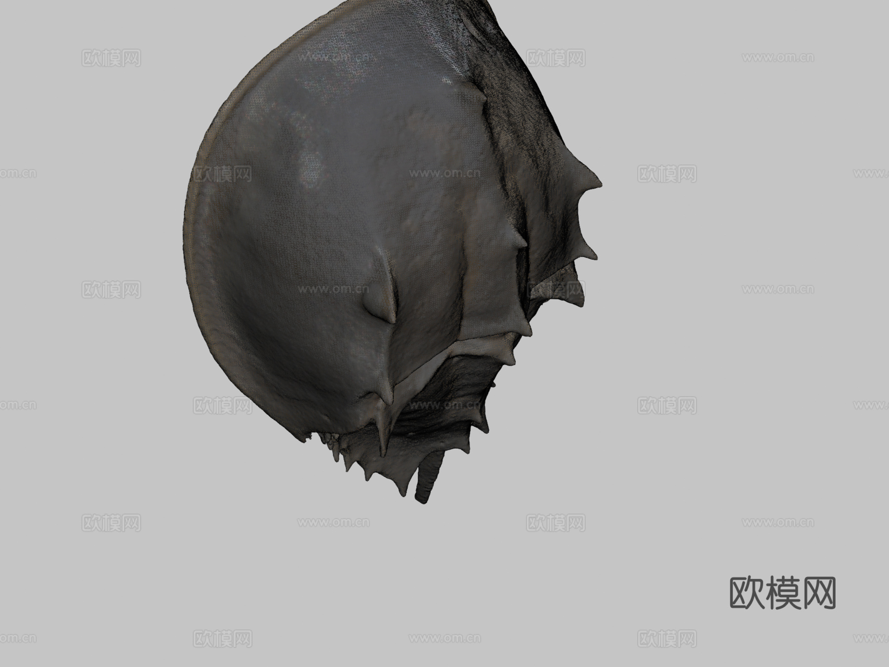 大西洋鲎3d模型下载（渲染图2）